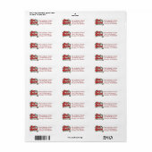 Gepersonaliseerde Funny Joy to the World Adresetik Etiket (Full Sheet)