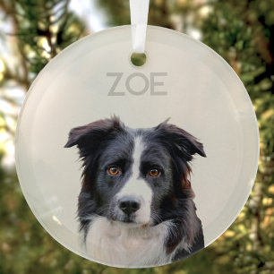 Gepersonaliseerde Glass Pet Christmas Tree Ornamen Glas Ornament