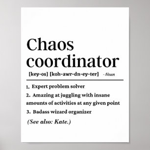 Gepersonaliseerde Grappige Chaos Coördinator Defin Poster