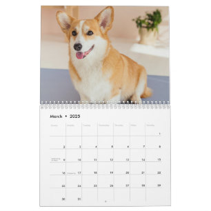 Gepersonaliseerde Grappige Corgi Hond Pet Fotokale Kalender