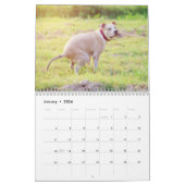 Gepersonaliseerde Grappige Honden Pooping Kalender (Jan 2026)