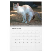Gepersonaliseerde Grappige Katten Pooping Kalender (Feb 2026)