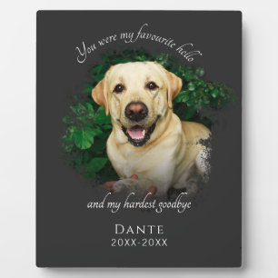 Gepersonaliseerde Gray Pet Memorial Fotografie Fotoplaat