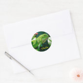 Gepersonaliseerde groene Iguana Lizard Ronde Sticker (Envelop)