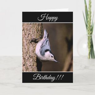 Gepersonaliseerde Happy Birthday Nuthatch Kaart