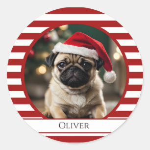 Gepersonaliseerde huisdier foto Candy Cane rode st Ronde Sticker