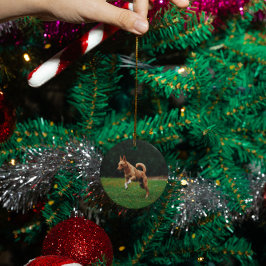 Gepersonaliseerde huisdier hond kat memorial custo keramisch ornament