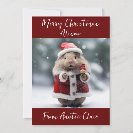 Gepersonaliseerde Kerstmis Kaart Santa Hamster (Voorkant)