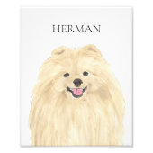 Gepersonaliseerde kunst Pomeranian Foto Afdruk (Voorkant)