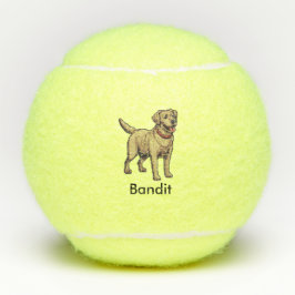 Gepersonaliseerde Labrador Retriever Hondentennisb Tennisballen