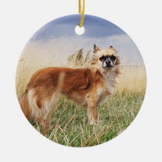 Gepersonaliseerde langharige chihuahua keramisch ornament