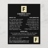 Gepersonaliseerde Logo, zakelijk en financieel Adv Flyer (Voorkant)