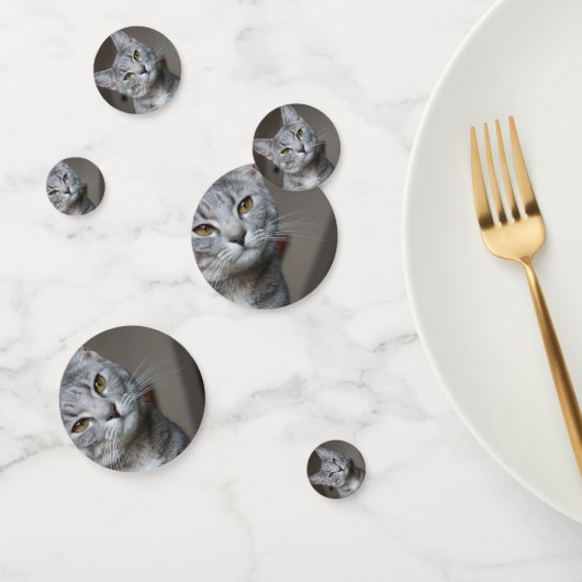 Gepersonaliseerde moderne kat foto confetti (Groep)
