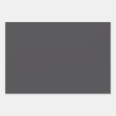 Gepersonaliseerde Naam Kerstdashond Hond Lichten Inpakpapier Vel (Voorkant 3)