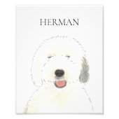 Gepersonaliseerde Oudengelse Sheepdog Art Foto Afdruk (Voorkant)