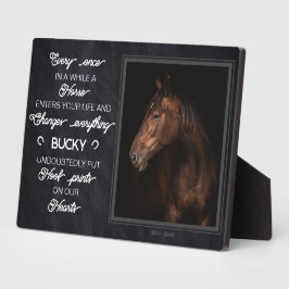 Gepersonaliseerde Paard Memorial Gift Foto Fotoplaat