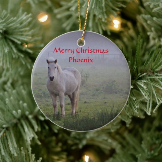 Gepersonaliseerde Paard vriend Kerst ornament (Boom)