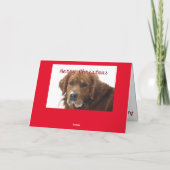 Gepersonaliseerde Pet Christmas Kaart (Achterkant)