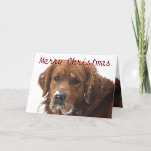 Gepersonaliseerde Pet Christmas Kaart
