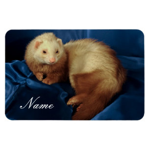 Gepersonaliseerde Pet Ferret Magneet