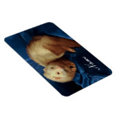 Gepersonaliseerde Pet Ferret Magneet (Rechterzijde)