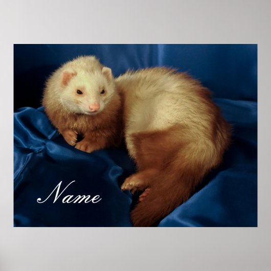 Gepersonaliseerde Pet Ferret Poster (Voorkant)