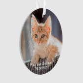 Gepersonaliseerde Pet Kitten Fotokat Eerste Kerstm Ornament (voorkant)