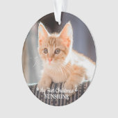 Gepersonaliseerde Pet Kitten Fotokat Eerste Kerstm Ornament (voorkant)
