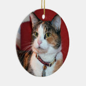 Gepersonaliseerde Pet Memorial Foto Ornament (Rechts)