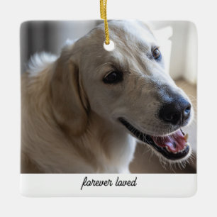 Gepersonaliseerde Pet Memorial Gift Hondenliefhebb Keramisch Ornament