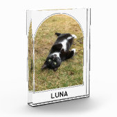 Gepersonaliseerde Pet Naam Modern Arch Fotoblokken (Links)