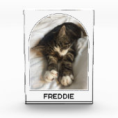 Gepersonaliseerde Pet Naam Modern Arch Fotoblokken (Voorkant)