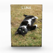 Gepersonaliseerde Pet Naam Modern Fotoblokken (Voorkant)
