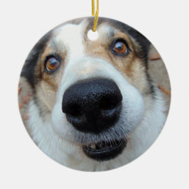Gepersonaliseerde Pet Photo Hondenliefhebber Aange Keramisch Ornament