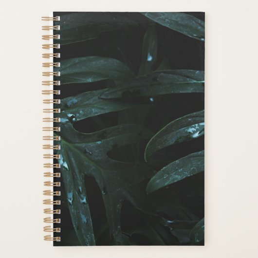 Gepersonaliseerde planner voor positieve bevestigi (Voorkant)