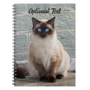 Gepersonaliseerde pluizige kat met blauwe ogen notitieboek