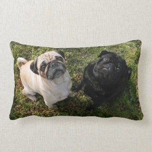 Gepersonaliseerde Pug Kussen, zwart en wit Pugs, N Kussen