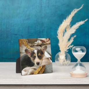 Gepersonaliseerde puppy hond foto fotoplaat