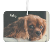 Gepersonaliseerde Ruby Cavalier King Charles Spani Luchtverfrisser (Achterkant)