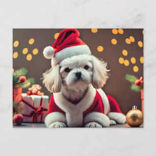 Gepersonaliseerde Santa Maltese Hond Vrolijk Kerst Feestdagenkaart