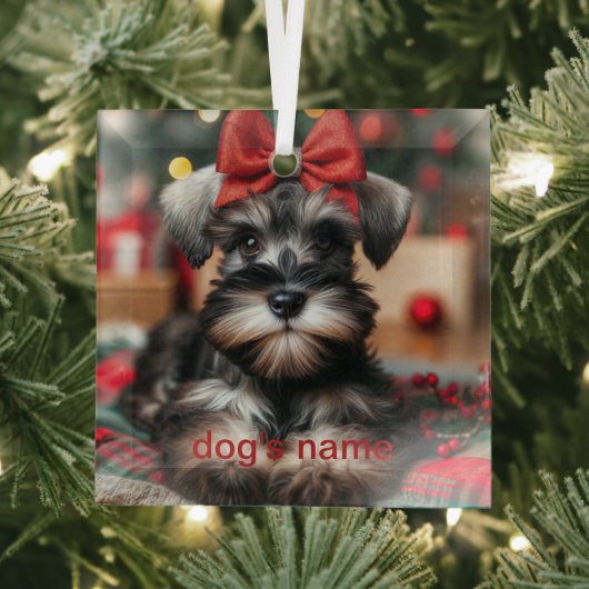 Gepersonaliseerde schnauzer glas ornament (Insitu)