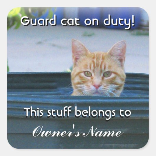 Gepersonaliseerde Sticker van het kind—Guard Cat o (Voorkant)