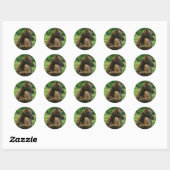 Gepersonaliseerde Stickers (Vel)