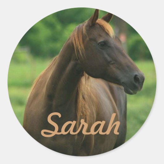 Gepersonaliseerde Stickers (Voorkant)