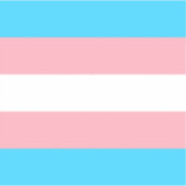 Gepersonaliseerde transgender vlag sticker (Voorkant)