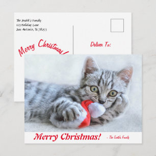 Gepersonaliseerde vrolijke kerstkitten met kerstmu briefkaart