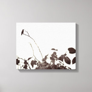Geperst Hummingbird 14x11 Verpakt Canvas Afdruk