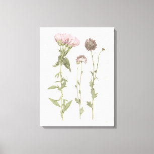Geperste bloemen - Roze Canvas Afdruk