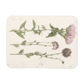 Geperste bloemen - Roze Magneet (Horizontaal)