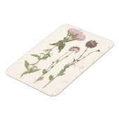 Geperste bloemen - Roze Magneet (Linkerzijde)